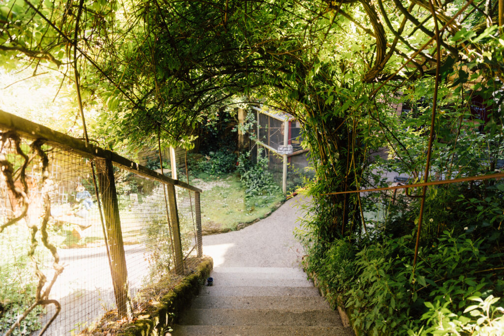 Chemin troglodytique ombragé menant à l’entrée des Voûtes Oubliées, gîte de charme insolite