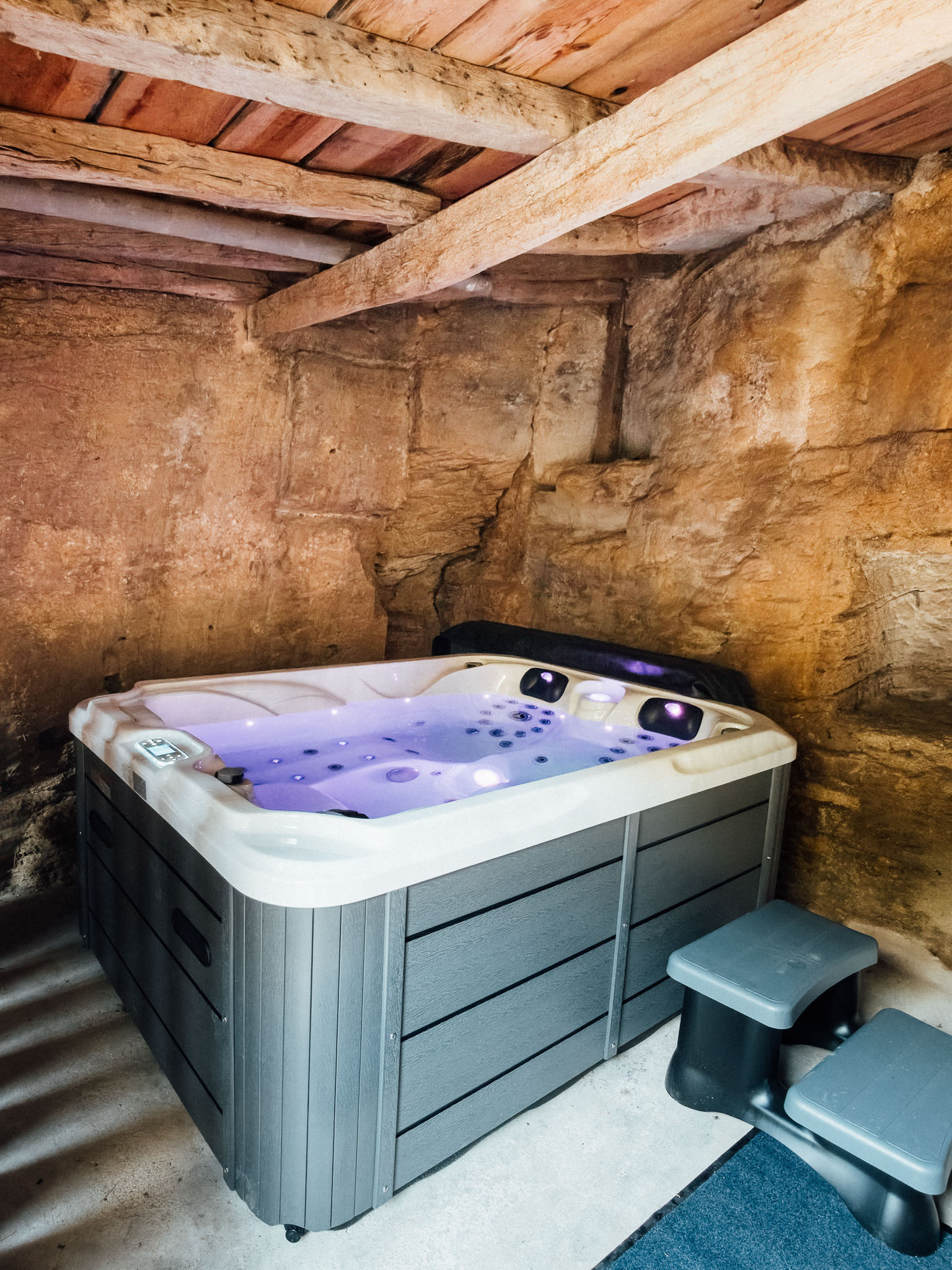 Spa Privatif de la Rose Bleue, chambre d'hôte à Doué la Fontaine