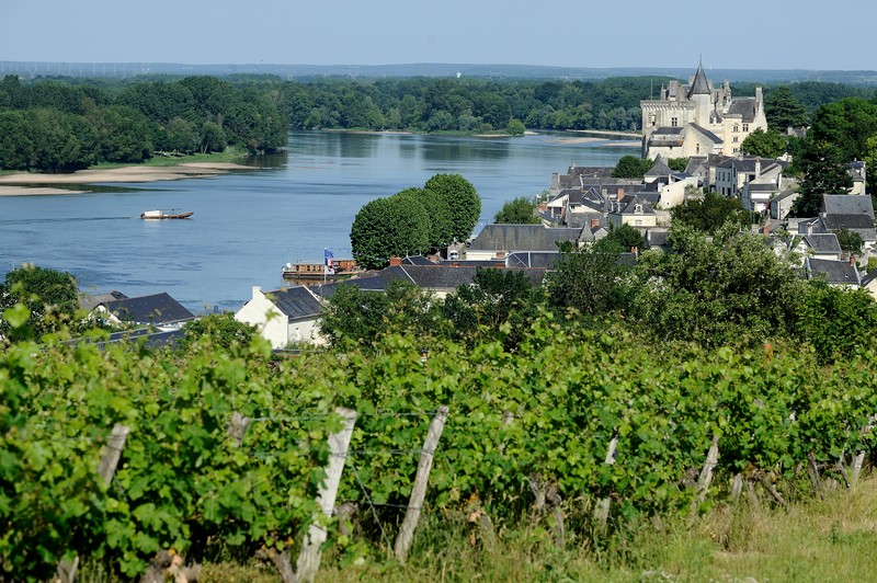 Reportage touristique sur Saumur et ses environs.
Vue depuis les vignes sur Montsoreau. ©JEAN-SEBASTIEN EVRARD
0681653729